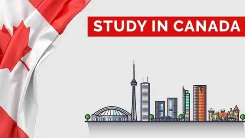 Top Scholarships for Undergraduate Students in Canada