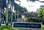 University of Miami Stamps Scholarship