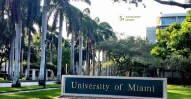 University of Miami Stamps Scholarship