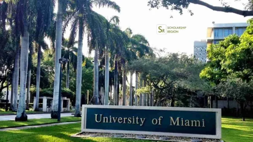 University of Miami Stamps Scholarship